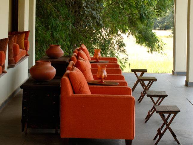 Walk In Woods Resort, Bandhavgarh 4